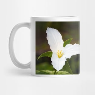 White Trillium Spring Flower Mug